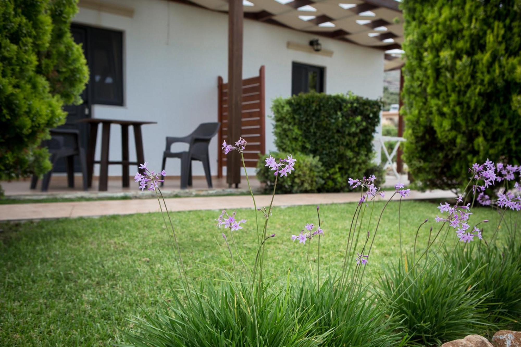 Agarathos Traditional Rooms - Pool - Kaliviani -On The Road To Balos Bagian luar foto